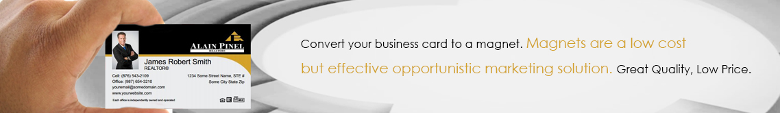 Alain Pinel Realtors Business Card Magnets