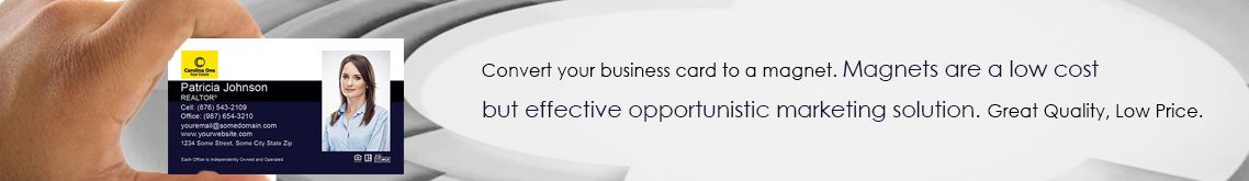 Carolina One Business Card Magnets